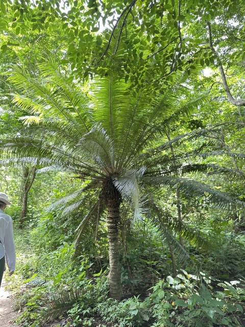 Rosario Douglas, photo 1