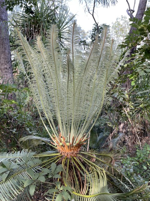 callumjpaul, photo 1