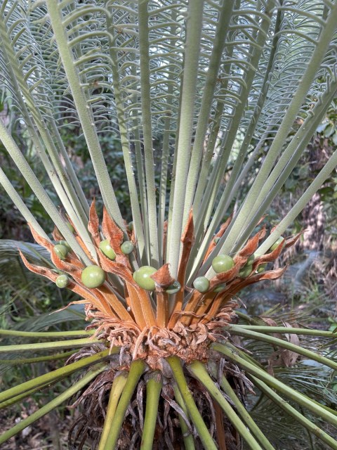 callumjpaul, photo 2