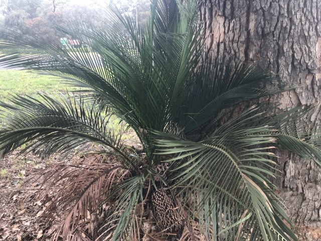 Ann Bentley, photo 1