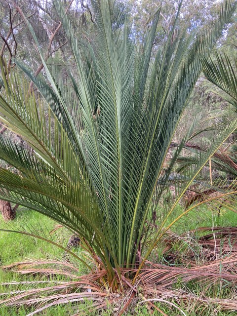 Harrison Gould, photo 2