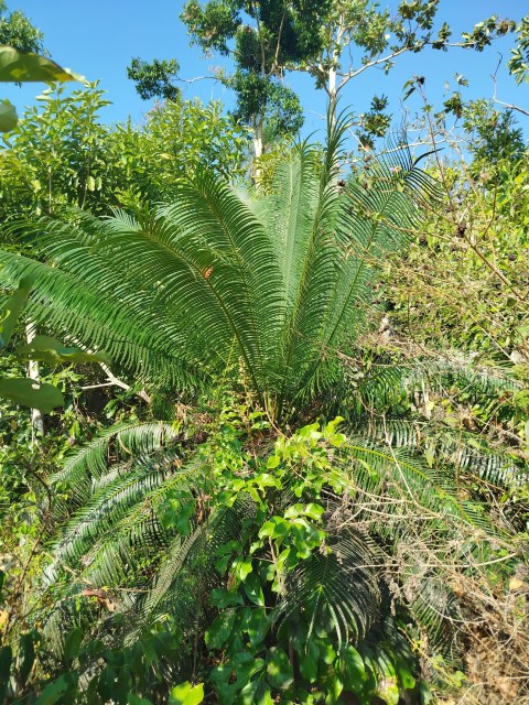 youn22, photo 2