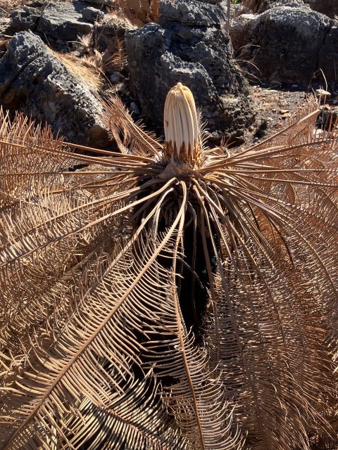 Roy Osborne, photo 1