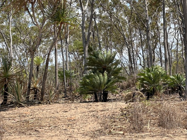 Tom Kaye, photo 1